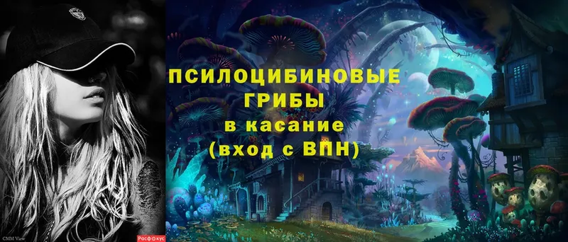 Галлюциногенные грибы Cubensis  Андреаполь 